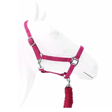 Royalian Pony Nylon Halter With Lead - Comfort Protection Head Collar Breakaway Crown