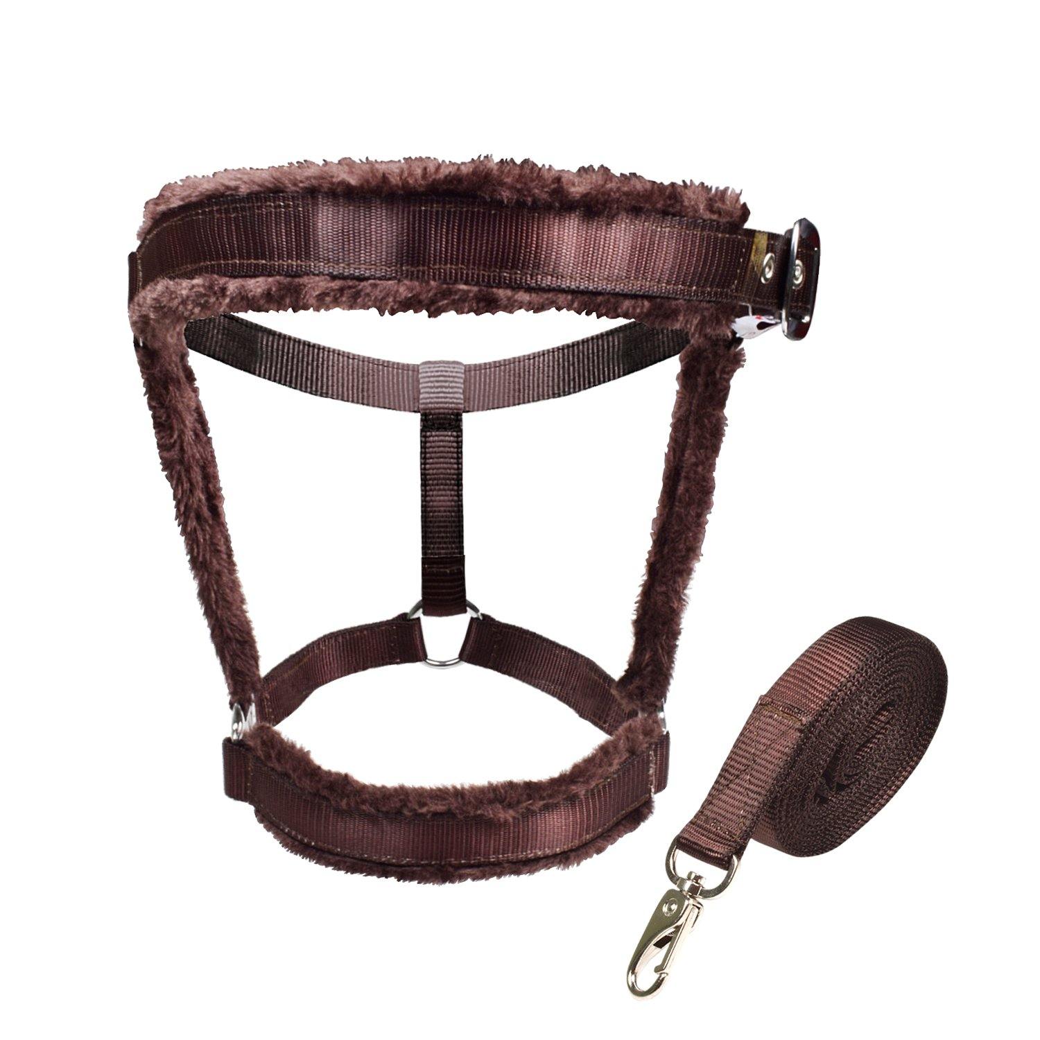 Royalian Horse Fur Nylon Halter With Nylon Lead - Royalian