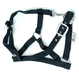 Royalian Pony Nylon Halter With Lead - Comfort Protection Head Collar Breakaway Crown