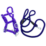 Royalian Pony Nylon Halter With Lead - Comfort Protection Head Collar Breakaway Crown