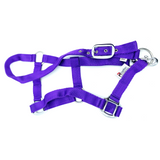 Royalian Pony Nylon Halter With Lead - Comfort Protection Head Collar Breakaway Crown